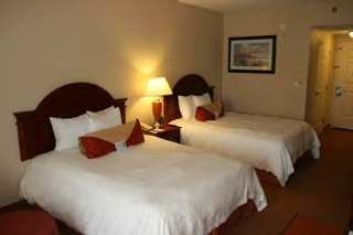 Hotel Hilton Garden Inn Birmingham-lakeshore Drive