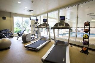 Hotel Hilton Garden Inn Chicago-oakbrook Terrace