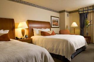 Hotel Hilton Garden Inn Chicago Ohare Airport
