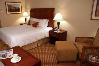 Hotel Hilton Garden Inn Colorado Springs Airport