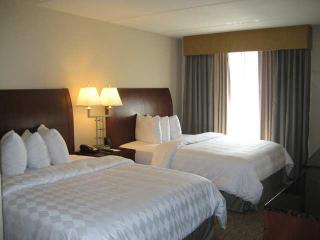 Hotel Hilton Garden Inn Dallas-duncanville