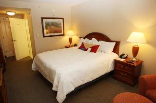 Hotel Hilton Garden Inn Des Moines-urbandale