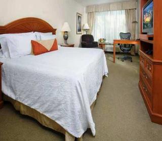 Hotel Hilton Garden Inn Detroit Downtown