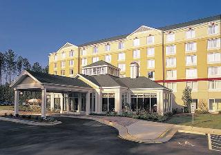 Hotel Hilton Garden Inn Detroit Metro Airport