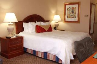 Hotel Hilton Garden Inn Detroit Metro Airport