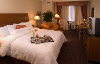 Hotel Hilton Garden Inn Dfw Airport South