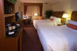 Hotel Hilton Garden Inn Dfw Airport South