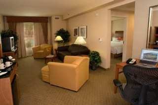 Hotel Hilton Garden Inn Dfw Airport South