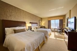 Hotel Hilton Garden Inn Dfw North Grapevine
