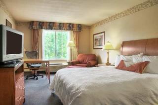 Hotel Hilton Garden Inn Dubuque Downtown