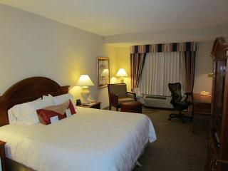 Hotel Hilton Garden Inn Elmira-corning