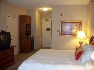 Hotel Hilton Garden Inn Fort Wayne