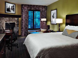 Hotel Hilton Garden Inn Gatlinburg