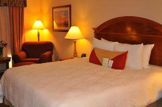Hotel Hilton Garden Inn Houston Westbelt