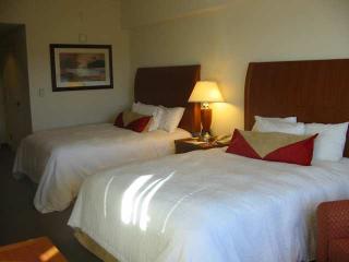 Hotel Hilton Garden Inn Ithaca