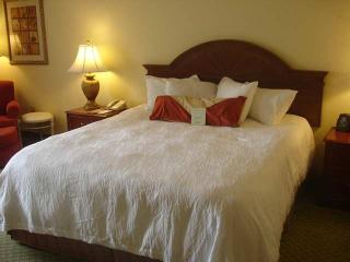 Hotel Hilton Garden Inn Knoxville West-cedar Bluff