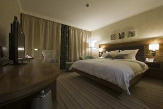 Hotel Hilton Garden Inn Krakow