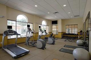 Hotel Hilton Garden Inn Lake Buena Vista-orlando