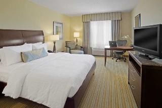 Hotel Hilton Garden Inn Lake Buena Vista-orlando