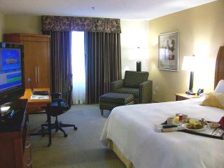 Hotel Hilton Garden Inn Las Colinas