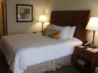 Hotel Hilton Garden Inn Memphis Southaven