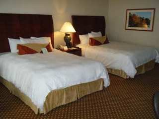 Hotel Hilton Garden Inn New Orleans Airport