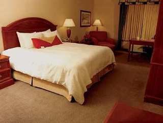 Hotel Hilton Garden Inn Newport News