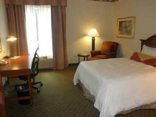Hotel Hilton Garden Inn Orlando Airport