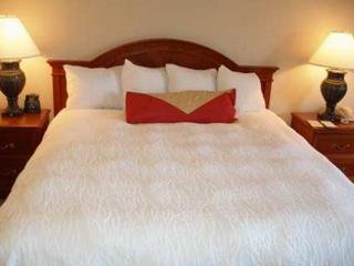 Hotel Hilton Garden Inn Redding