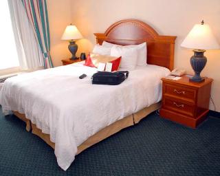 Hotel Hilton Garden Inn Sarasota-bradenton Airport
