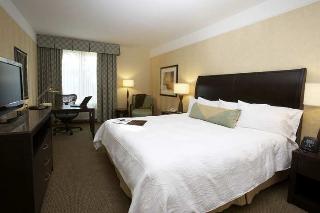 Hotel Hilton Garden Inn South Padre Island