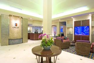 Hotel Hilton Garden Inn Tampa Airport Westshore