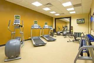 Hotel Hilton Garden Inn Tampa Airport Westshore