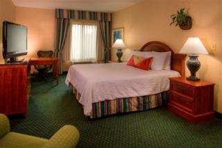 Hotel Hilton Garden Inn Tampa North