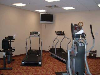 Hotel Hilton Garden Inn Tampa Northwest-oldsmar