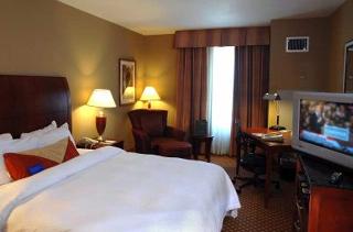 Hotel Hilton Garden Inn Tampa Northwest-oldsmar