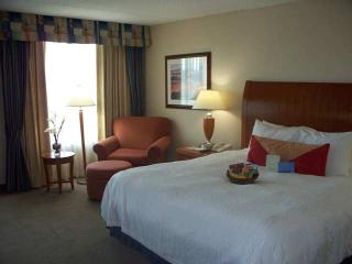 Hotel Hilton Garden Inn Washington Dc-greenbelt