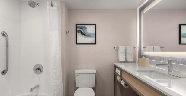 Hotel Hilton Garden Inn Washington Dc-greenbelt
