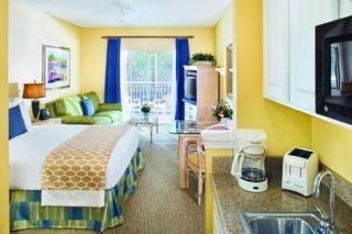 Hotel Hilton Grand Vacations Club At Seaworld Orlando