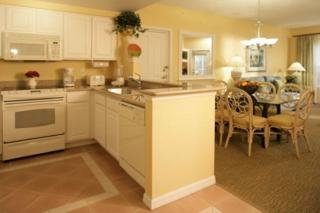 Hotel Hilton Grand Vacations Club At Seaworld Orlando