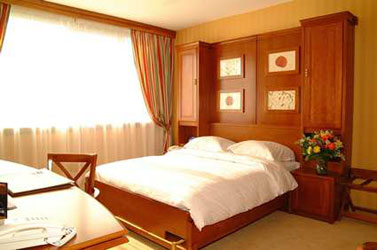 Hotel Hilton International Strasbourg