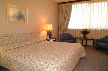 Hotel Hilton International Strasbourg