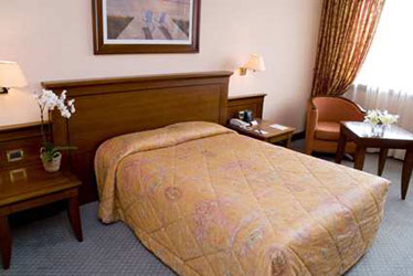 Hotel Hilton International Strasbourg