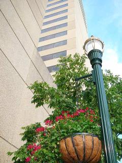 Hotel Hilton Lexington-downtown