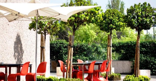 Hotel Hilton Madrid Airport