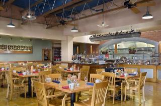 Hotel Hilton San Antonio Airport