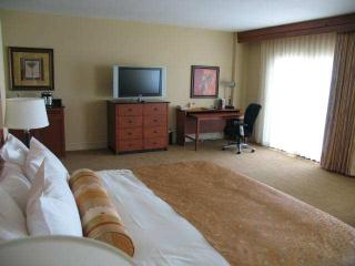 Hotel Hilton St. Petersburg Carillon Park