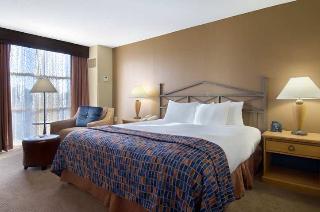 Hotel Hilton University Of Florida Conference Center