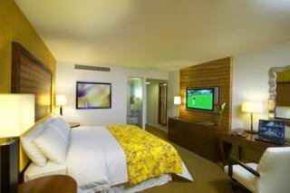 Hotel Hilton Waikiki Beach