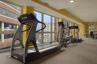 Hotel Hilton Washington Dc-silver Spring
